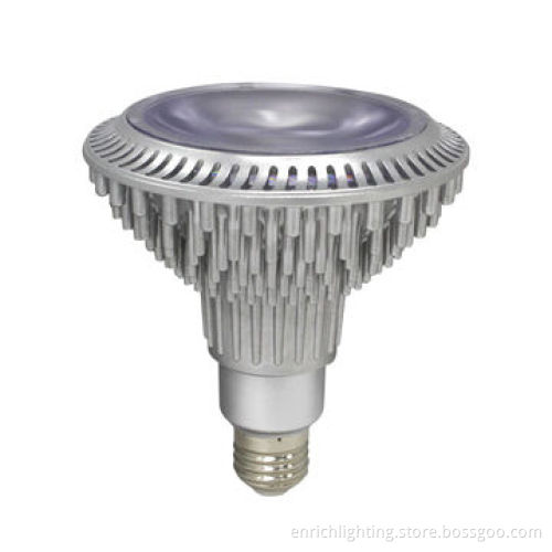 17W PAR38 LED Bulb with 85-265V AC